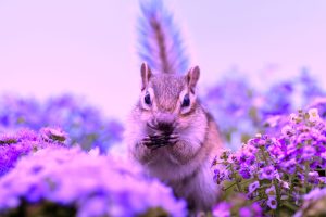 6 Tired Tech Recruiting Myths Debunked